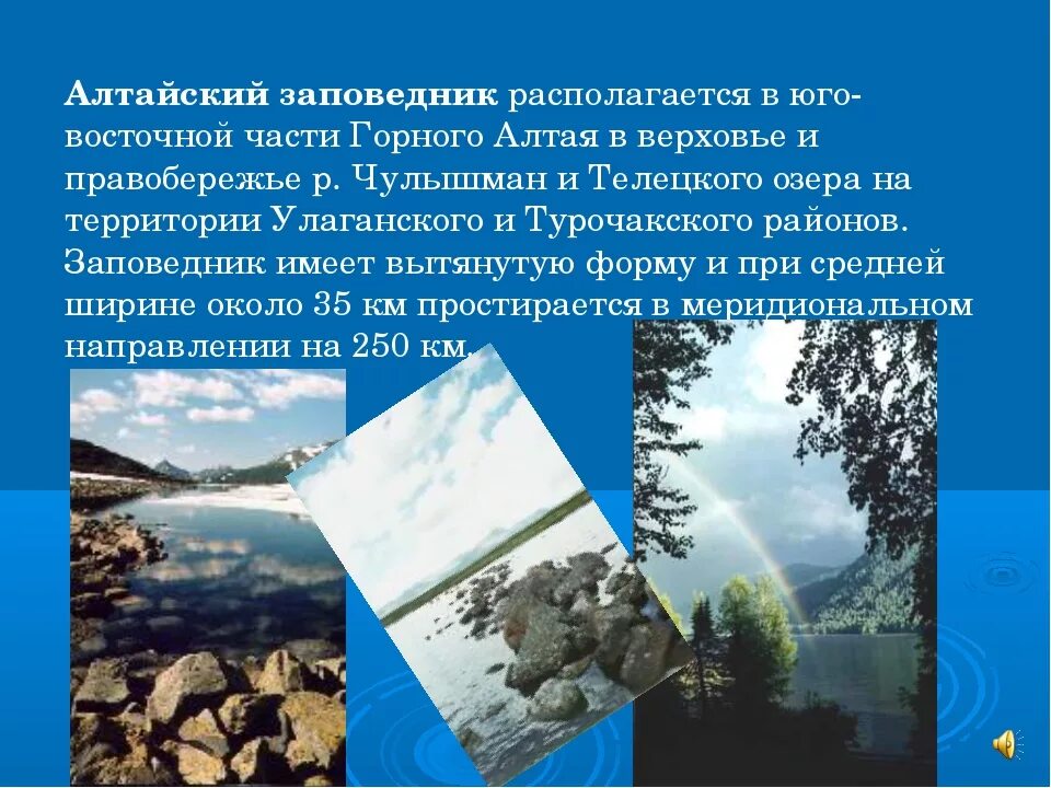 Сообщение о алтайском заповеднике. Алтайский заповедник. Алтайский заповедник презентация. Алтайский биосферный заповедник презентация. Презентация на тему Алтайский заповедник.