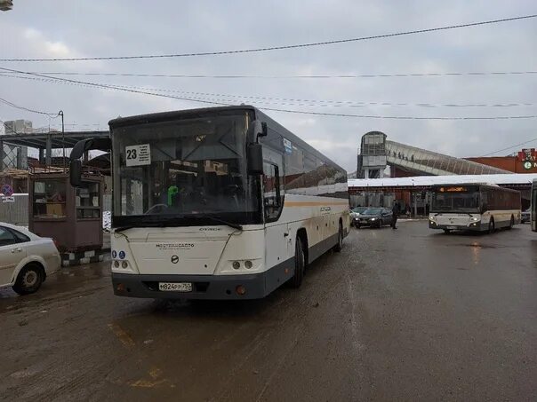 42 автобус лобня. Автобус Мострансавто. Автобус Лотос для Мострансавто. Лобня автобус 50. Автобусы СТАРТРАНС Ярославль.