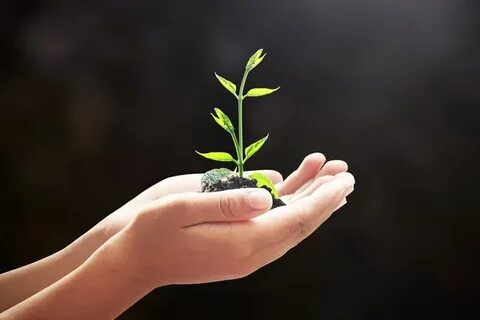 Improve environment