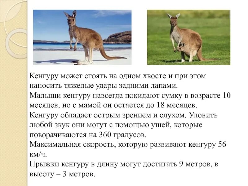 Задача про хвосты