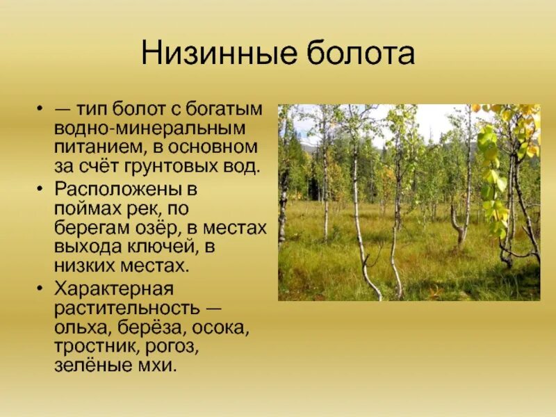 Видовой состав болота. Презентация на тему болота. Болото характеристика. Слайд низинные болота. Видовая структура болота.