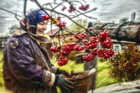 Погода в сураново