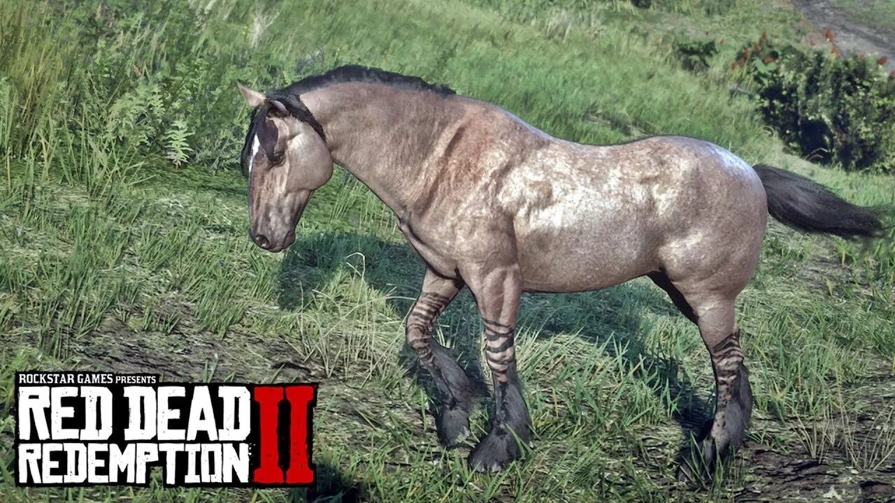 Red dead redemption 2 тигровый мустанг. Тигровый мустанг rdr2. Red dead redemption 2 дикий мустанг. Red dead redemption 2 мустанг. Red dead redemption 2 лошади мустанг.