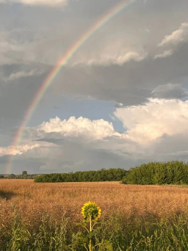 Конец радуги настоящей. Начало и конец радуги. Где начинается радуга. Реальный конец радуги. Конец радуги настоящей.