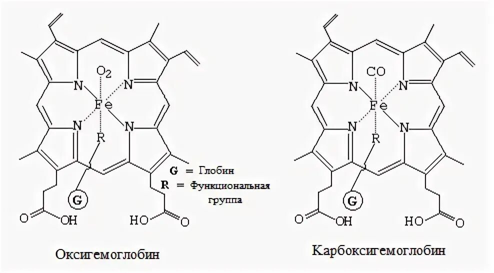 Оксигемоглобин. Схема строения оксигемоглобина. схематическое строение оксигемоглобина. оксигемоглобин структурная формула. оксигемоглобин строение.