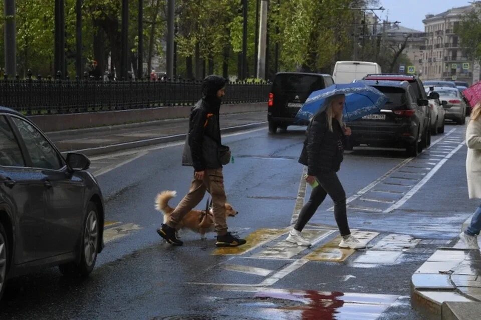 Потерпеть 20. Похолодание. Дождь в Москве. Дождь в Москве 28 мая.