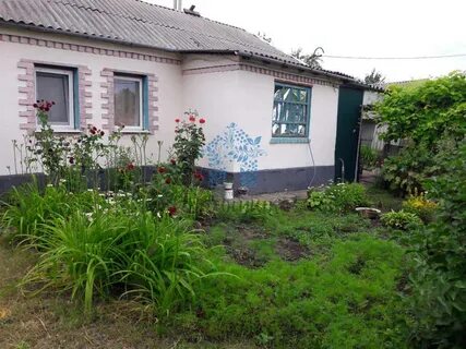 Дом в хохольском воронежской