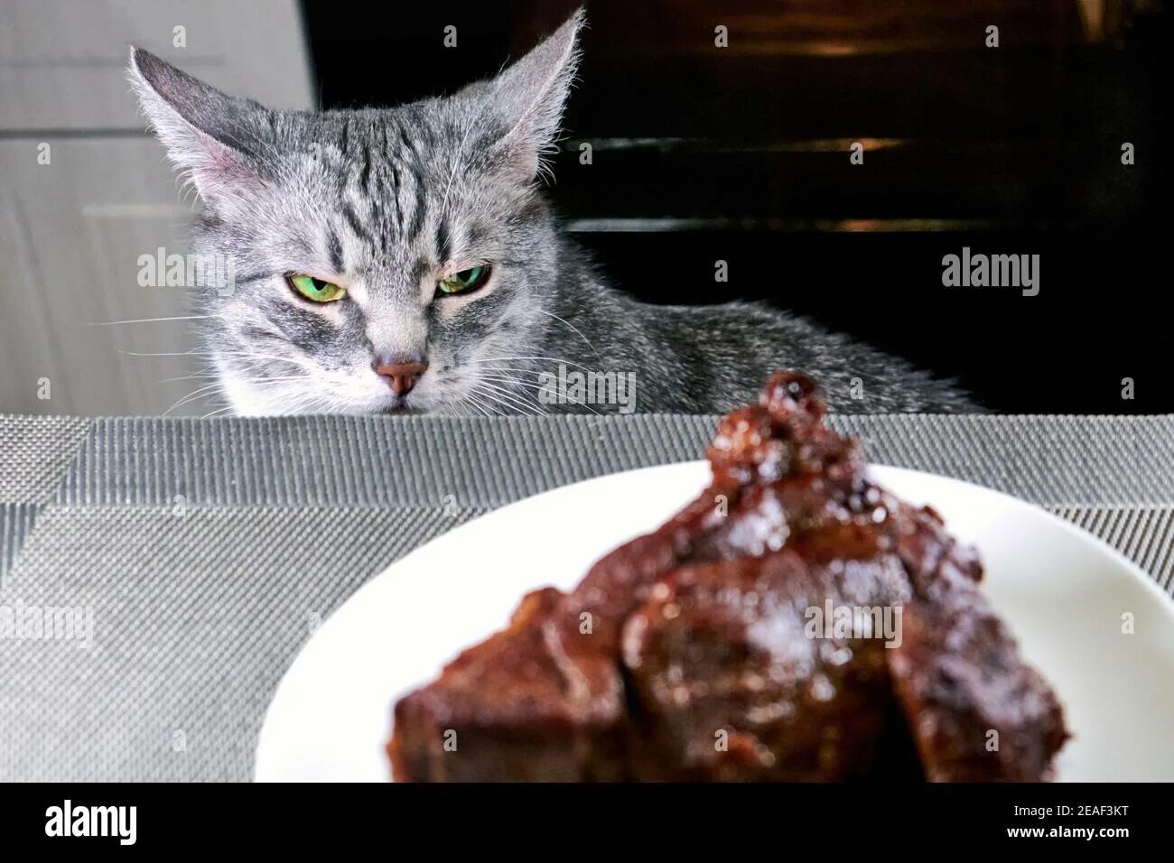 Кусочки мяса для котов. Cooking cat