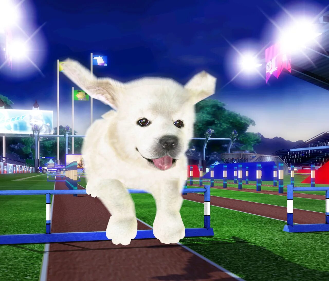 Petz Sports. Dogz Petz Sport. Игра Petz Sports. Petz Sports: Dog Playground.