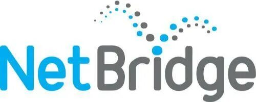 Bridge net. Netbridge. компанию netbridge. bridge фирма. netbridge (1998—2001).