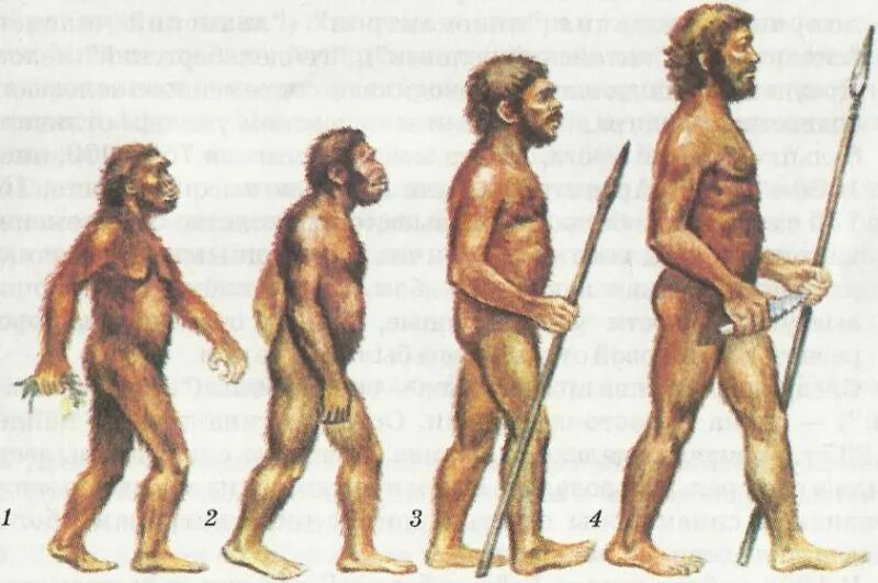 Насколько древний. Этапы эволюции человека,хомо сапиенс. Древний человек. Древний мир люди. Первобытные люди.