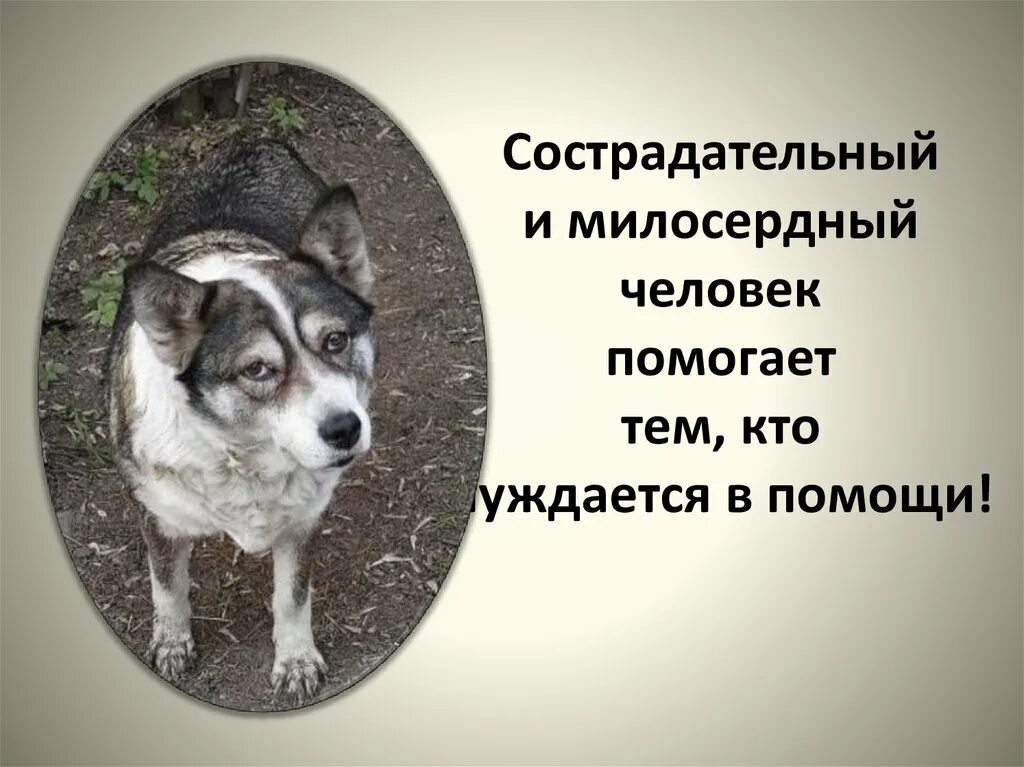 Что значит быть сострадательным