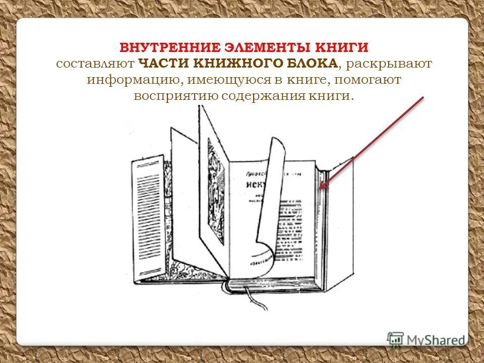 Строение книги. Анатомия книги из чего состоит книга. Элементы обложки книги. Из чего состоит структура книги. Структура книги.