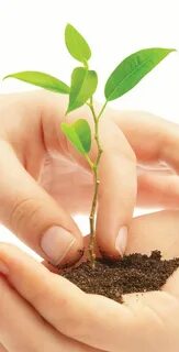 Environment s a