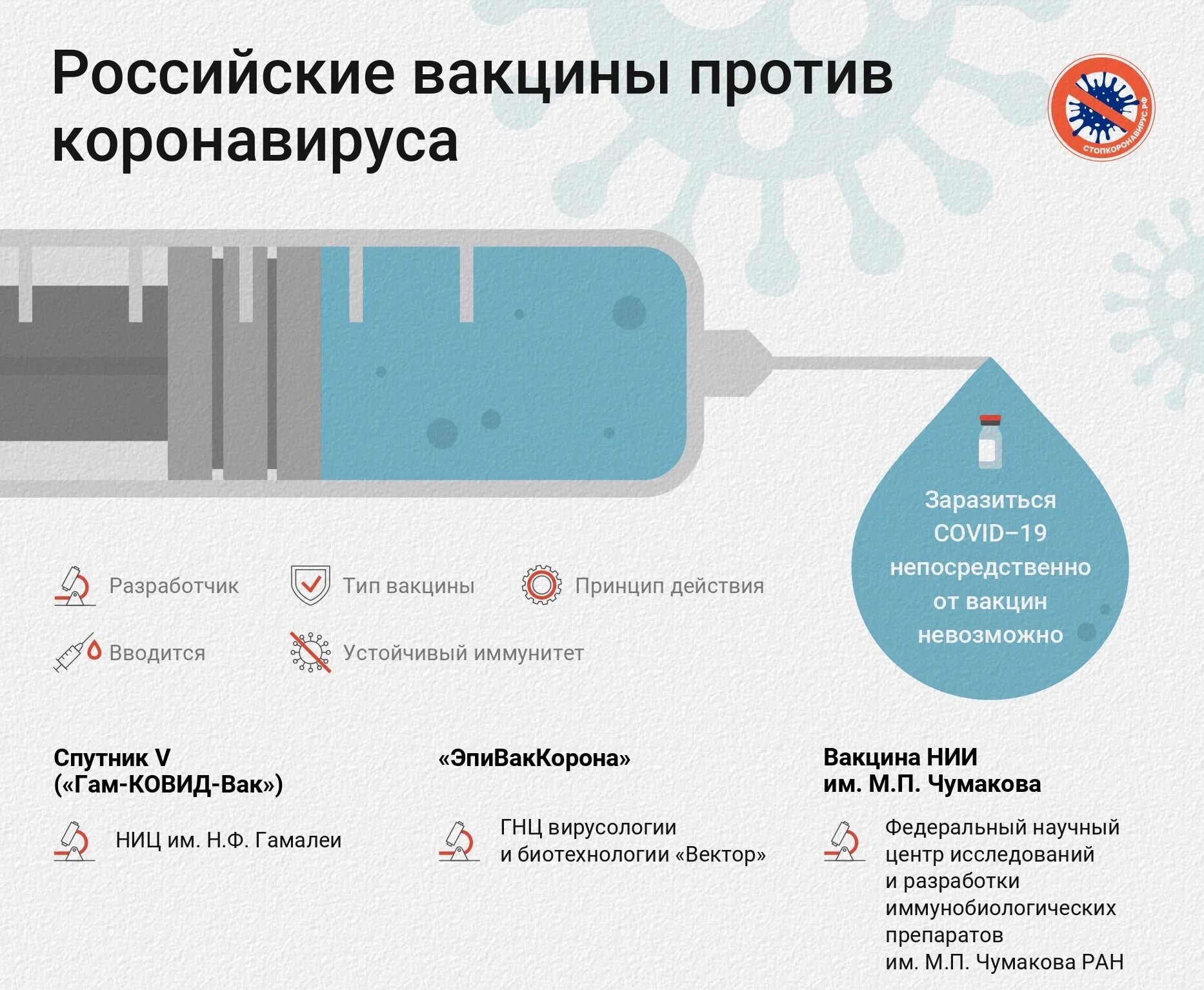 Вакцины омск. Виды вакцин против коронавируса. Принцип действия вакцины. Российская вакцина от ковид 19. Механизм действия вакцины Спутник v.