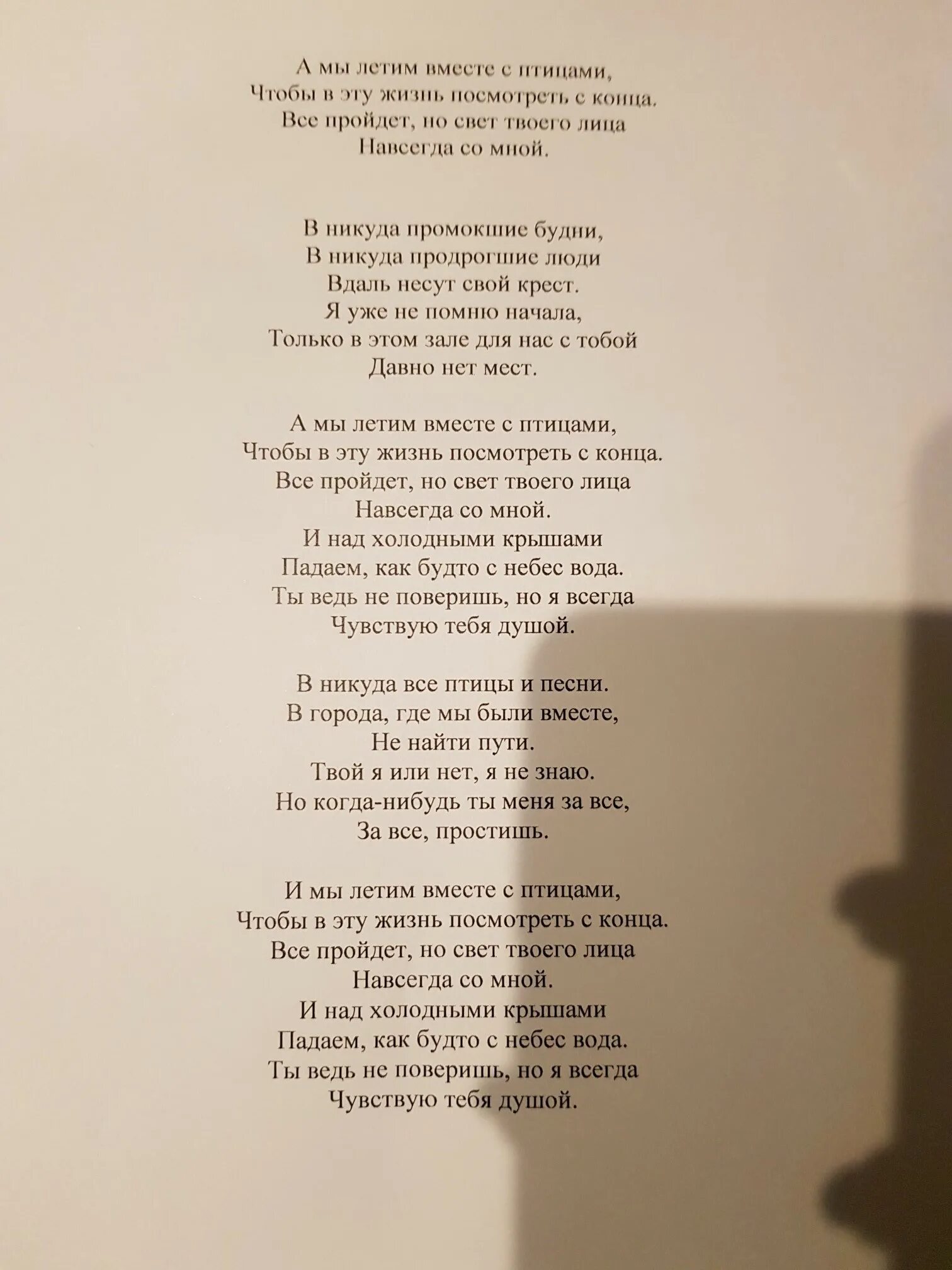 А мы летим вместе с птицами. А мы летим вместе с птицами текст. Над холодными крышами падем. Прости и мы летим вместе с птицами.