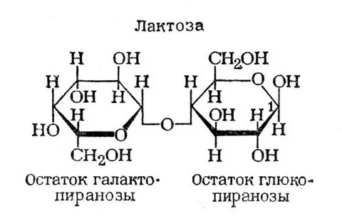 Глюкоза лактоза целлюлоза относятся к