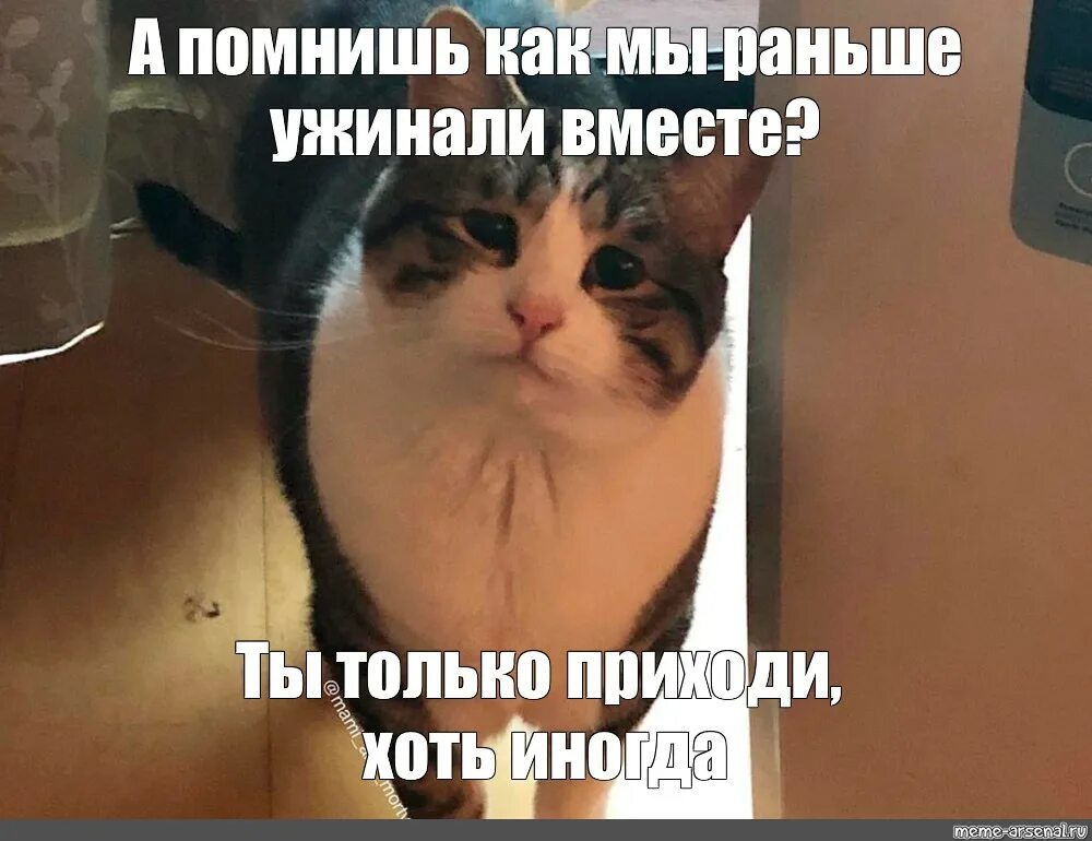Я помню когда я была маленькая