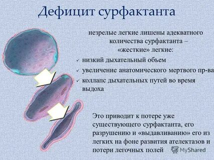 Препарат улучшающий синтез сурфактанта