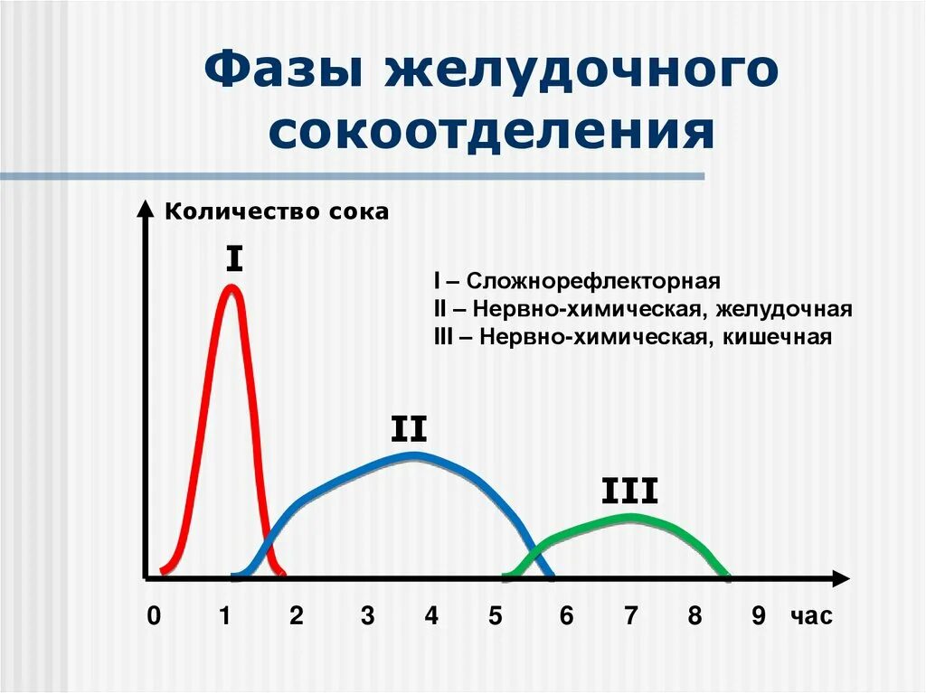 Низкая вторая фаза. Фазы желудочной секреции схема. Механизмы и фазы желудочной секреции физиология. Механизм 2 фазы желудочной секреции. Мозговая фаза желудочной секреции схема.