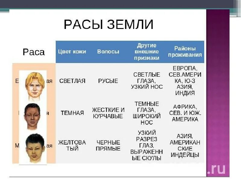 Какой расы проживает больше всего. Расы людей. расы людей на земле. какие существуют расы людей. расы населения земли.