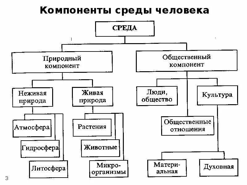 Значение компонентов среды. Компоненты окружающей среды человека. окружающая человека среда и ее компоненты. основные компоненты среды. среда человека.