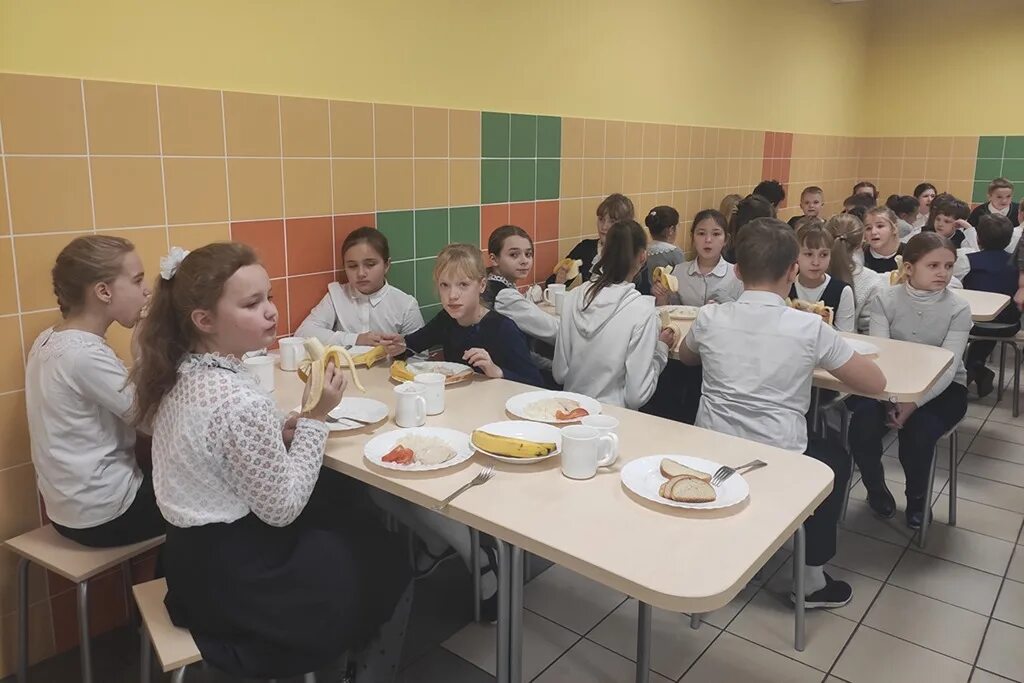 Школа 26 калининград. Сайт школы 29 калининград. 29 школа калининград. Маоу сош 5 калининград. Столовая.