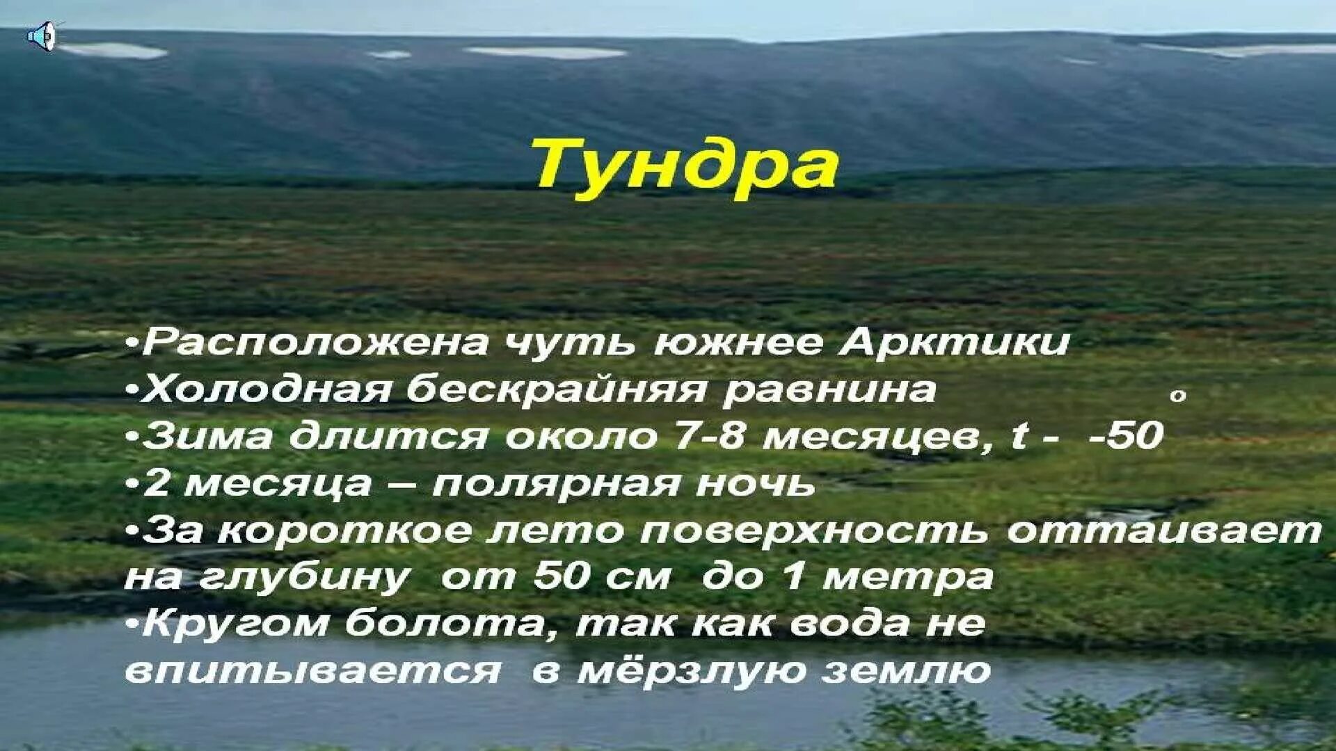 Тундра. Тундра 4 класс окружающий мир. Проект про тундру. Что такое тундра рассказать. Характер теплового режима тундры