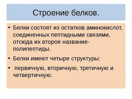 Белка особенности внутреннего строения