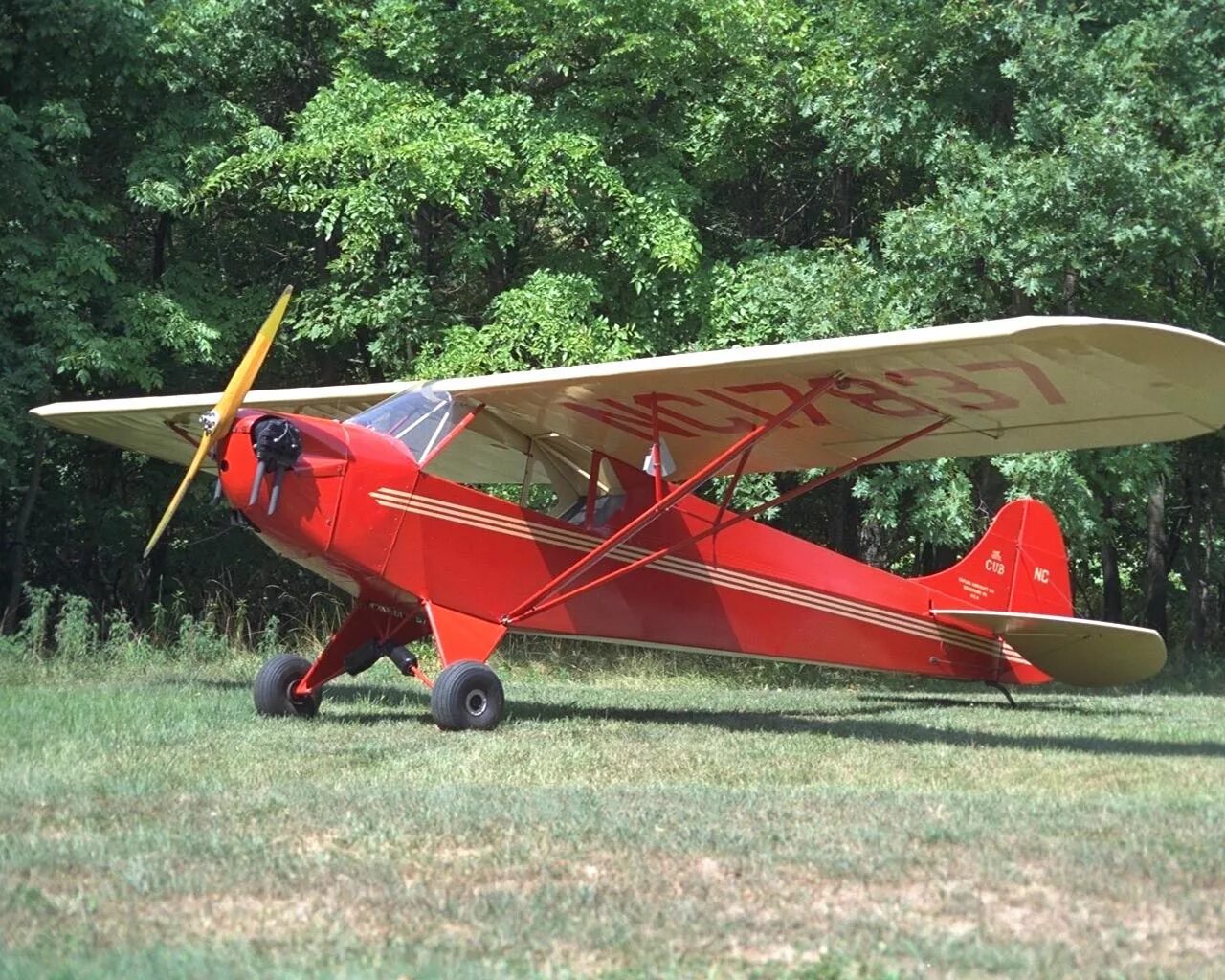 Моторный самолет. Самый маленький самолет в мире. Carbon piper cub. Маленький самолет это. Mc-15 cri-cri jet.