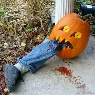 Хэллоуин приколы