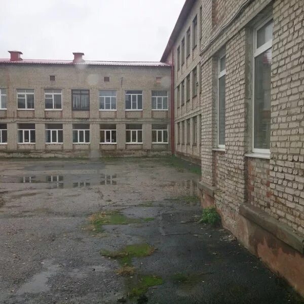 Гимназия номер 12 тамбов. 12 гимназия тамбов. Гимназия № 12, корпус 1, тамбов. 12 гимназия тамбов учителя. Гимназия 12 державина тамбов.