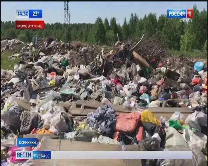 Жители города жалуются. Лесные свалки.