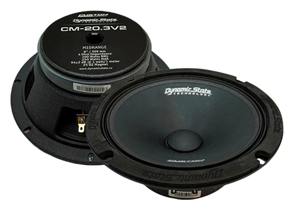Dynamic state cm. Колонки dynamic state cm-16.1v4. dynamic state custom cm-20.3v2. dynamic state 20.3 v2. динамики dynamic state 16.
