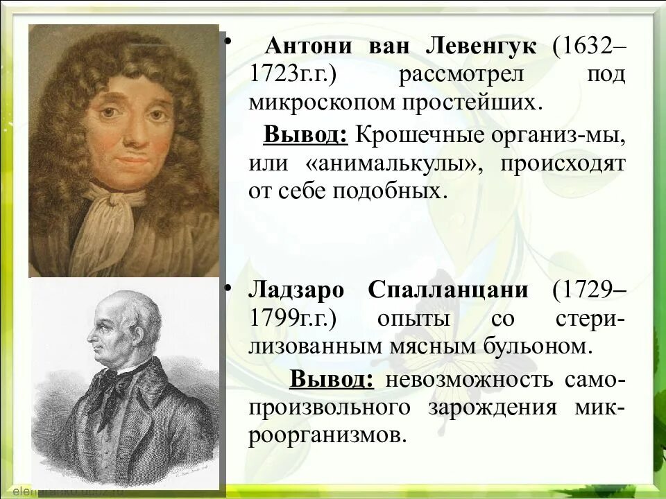 Антони Ван Левенгук (1632-1723). Антони Ван Левенгук (1632-1723) рисунки. Представление о происхождении жизни Левенгук. Левенгук теория возникновения жизни.