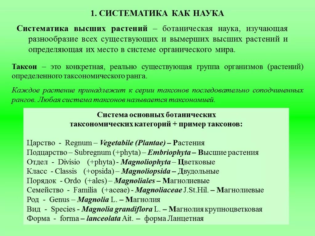 Таксономические единицы ботаники. Ботаника систематика растений. Систематика как наука. Систематика термин биология.