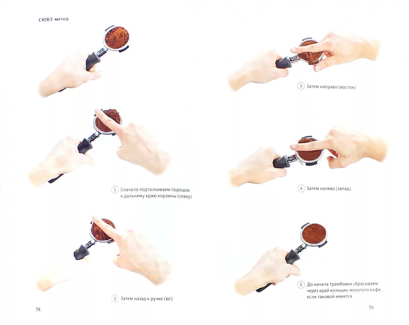 Barista (11"W x 14"H) - Field Guide Designs - Touch of Modern