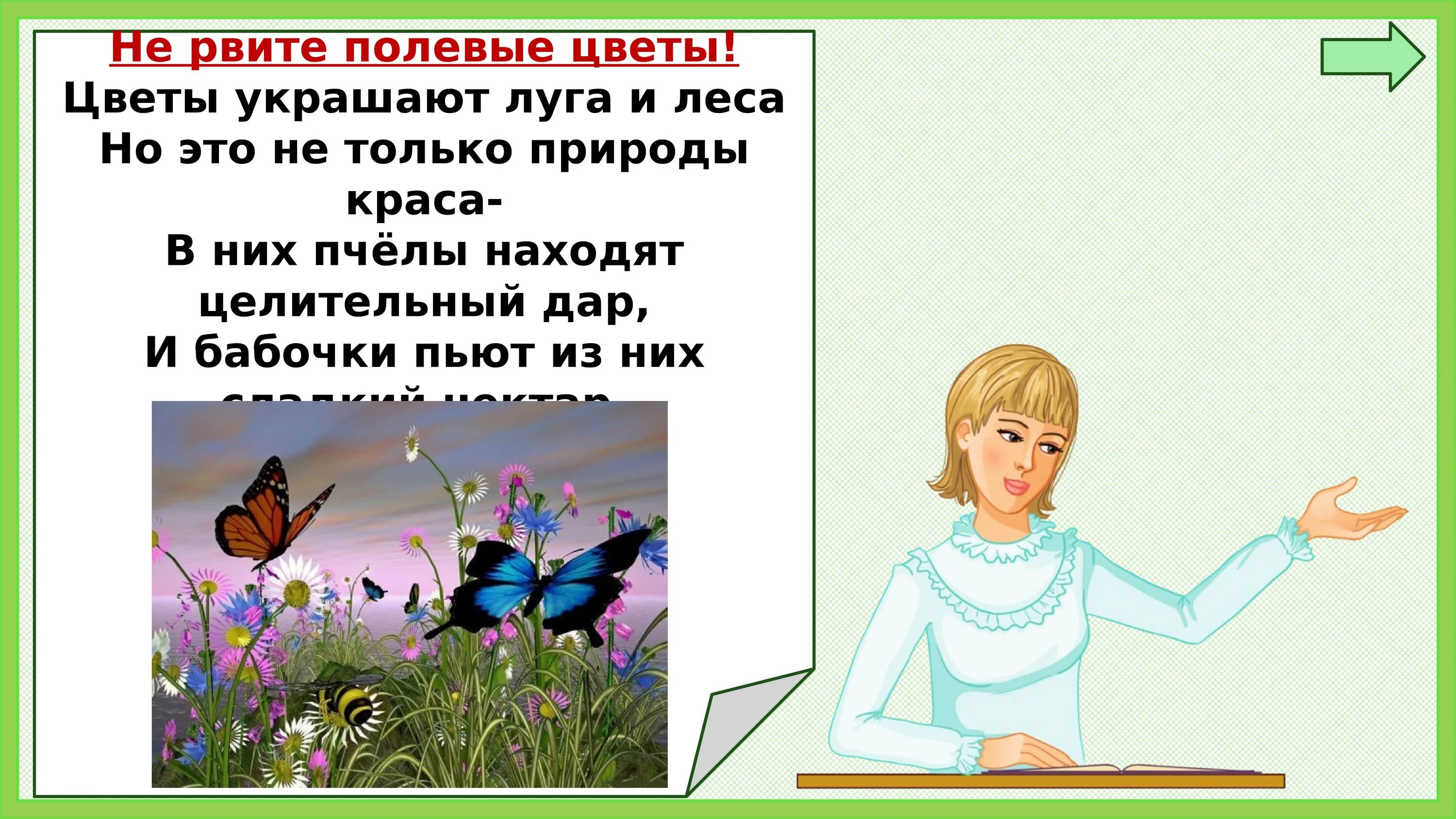 Почему мы не будем рвать цветы. Нельзя рвать цветы на лугу. Почему нельзя рвать цветы. Почему мы не будервать цветы.