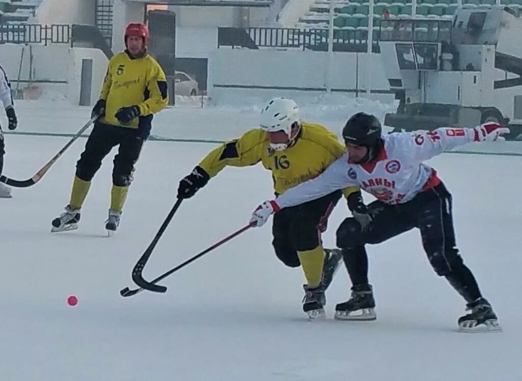 ирбис усть-абакан. сш саяны хакасия. сш саяны хакасия. чемпионат по хоккею с мячом хакасия 1988. хакасия сборная по хоккею с мячом 2008г.
