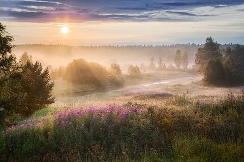 Фотограф Евгений Ерохин