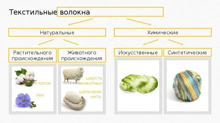 Производства натуральных волокон. Виды натуральных волокон животного происхождения и их свойства. Натуральные и искусственные ткани. Текстильные волокна. Натуральные волокна животного происхождения.