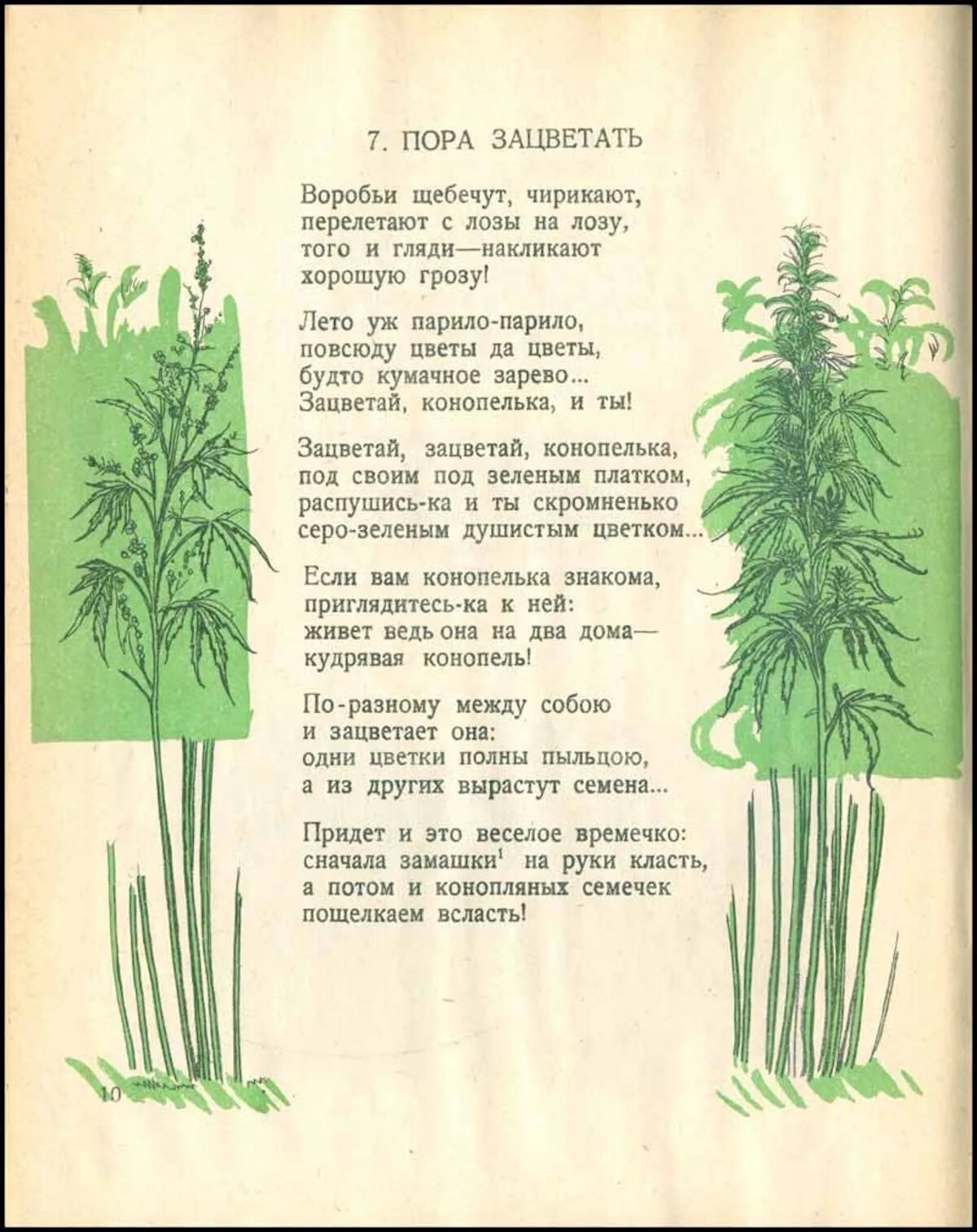 Книга конопель-Конопелька. Конопель Конопелька книга 1926. Стихотворение про траку. Стишок про коноплю. Травушка зеленая текст