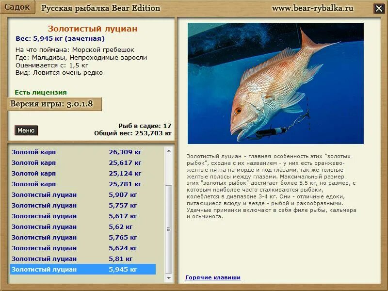Русская рыбалка 3 золотая рыбка. Рыба золотистый луциан.
