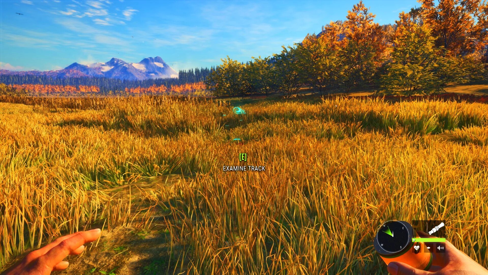 Call of the wild игра. Игра охота the hunter call of the wild. The hunter: call of the wild 2017. The hunter: call of the wild 2017. Call of hunter 2.