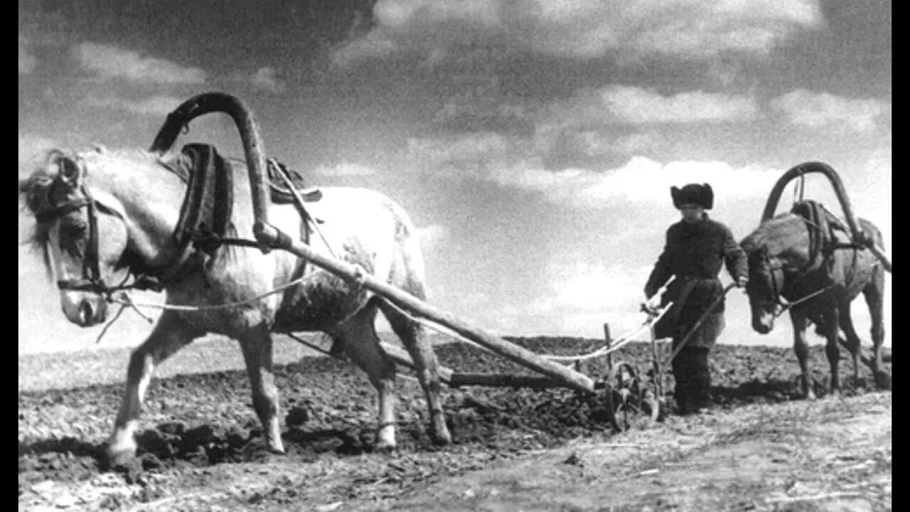 Мальчики пашут землю в годы войны 1941-1945. Лошадь в сельском хозяйстве. Сельское хозяйство в военные годы. Сельское хозяйство в годы Великой Отечественной войны. Труженик 7 букв