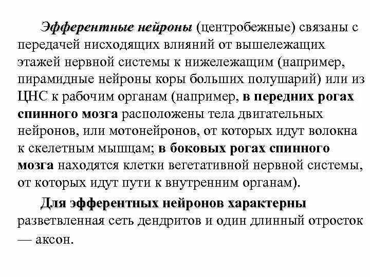 Эфферентными называются нейроны. Эфферентный нейрон. эфферентный центробежный нейрон. эфферентные нейроны функции. эфферентным является нейрон передающий информацию.