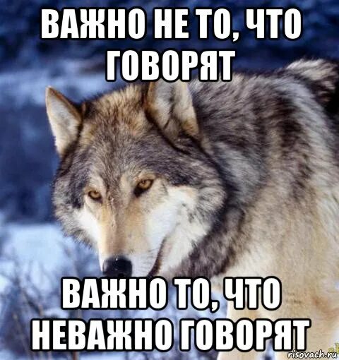 Неважно что говорят