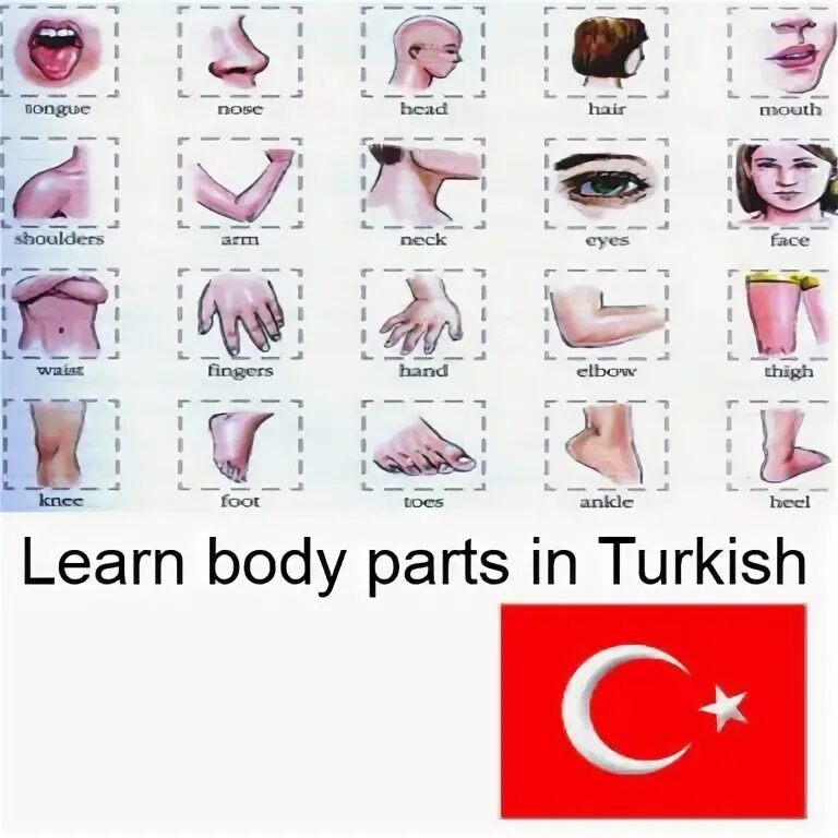 Уроки турецкого языка. Turkish words. Турецкий язык игры. Приложение для турецкого языка. Грамматика турецкого языка для начинающих.