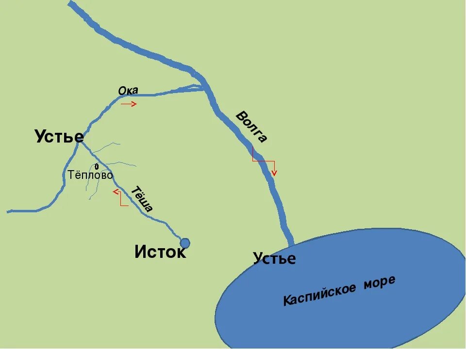 В какое море впадает волга. Исток и Устье реки Волга. Волга Исток и Устье на карте. Схема реки Волга. Куда впадает река Ока схема.