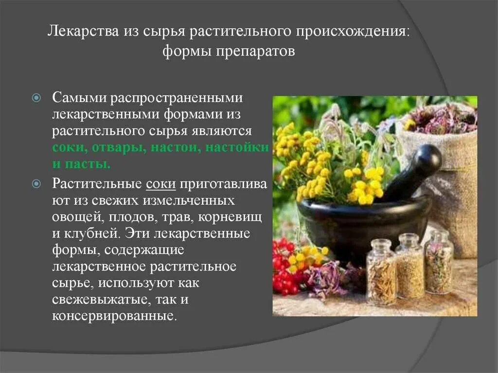 Какие растения используют для лекарств. Растения лекарственные средства. сырье растительного происхождения. лекарственное растительное сырьё. лекарственные растения и лекарственное растительное сырье.